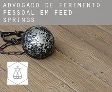 Advogado de ferimento pessoal em  Feed Springs