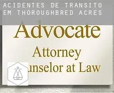 Acidentes de trânsito em  Thoroughbred Acres