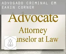 Advogado criminal em Eakin Corner