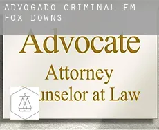 Advogado criminal em  Fox Downs