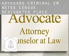 Advogado criminal em  Netos