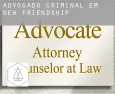 Advogado criminal em  New Friendship