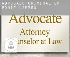 Advogado criminal em  Ponte Lambro