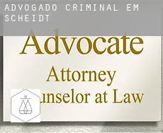 Advogado criminal em  Scheidt