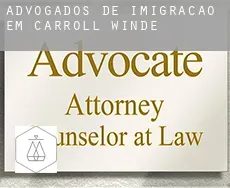 Advogados de imigração em  Carroll Winde