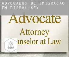 Advogados de imigração em  Dismal Key