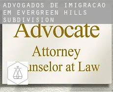 Advogados de imigração em  Evergreen Hills Subdivision
