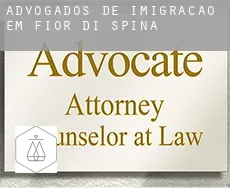 Advogados de imigração em  Fior di Spina
