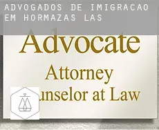 Advogados de imigração em  Hormazas (Las)