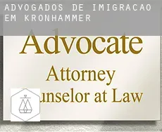 Advogados de imigração em Kronhammer