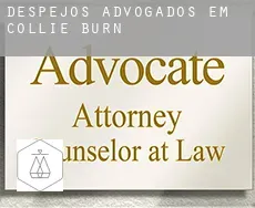 Despejos advogados em  Collie Burn