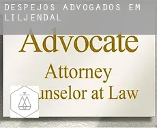 Despejos advogados em  Liljendal