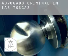 Advogado criminal em  Las Toscas