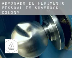 Advogado de ferimento pessoal em  Shamrock Colony