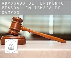 Advogado de ferimento pessoal em  Támara de Campos