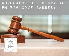 Advogados de imigração em  Big Cove Tannery
