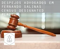 Despejos advogados em  Fernando Salinas