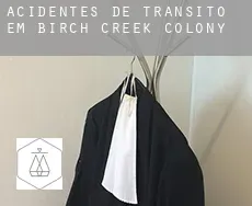 Acidentes de trânsito em  Birch Creek Colony