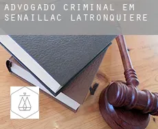 Advogado criminal em Sénaillac-Latronquière