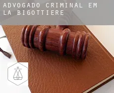 Advogado criminal em La Bigottière