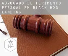 Advogado de ferimento pessoal em  Black Hog Landing