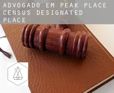 Advogado em  Peak Place