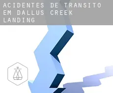Acidentes de trânsito em  Dallus Creek Landing