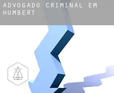 Advogado criminal em  Humbert