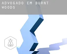 Advogado em  Burnt Woods