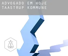Advogado em  Høje-Taastrup Kommune