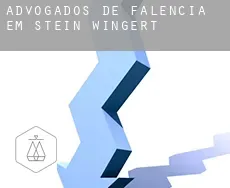 Advogados de falência em  Stein-Wingert