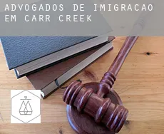 Advogados de imigração em Carr Creek