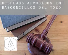 Despejos advogados em  Basconcillos del Tozo