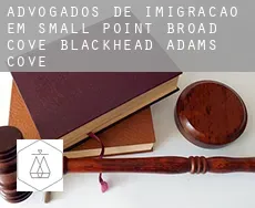 Advogados de imigração em  Small Point-Broad Cove-Blackhead-Adams Cove