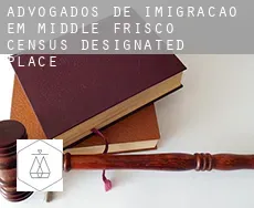 Advogados de imigração em  Middle Frisco