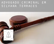 Advogado criminal em  Silvana Terraces