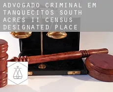 Advogado criminal em  Tanquecitos South Acres II