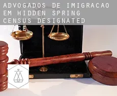 Advogados de imigração em  Hidden Spring