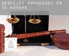 Despejos advogados em Te Kopuru