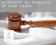 Acidentes de trânsito em  Pine Grove