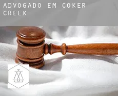 Advogado em Coker Creek