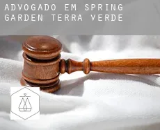 Advogado em  Spring Garden-Terra Verde