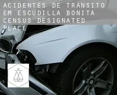 Acidentes de trânsito em  Escudilla Bonita