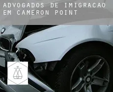 Advogados de imigração em  Cameron Point
