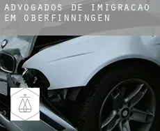 Advogados de imigração em Oberfinningen