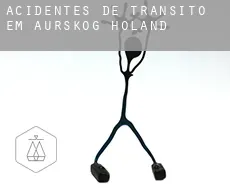 Acidentes de trânsito em  Aurskog-Høland