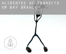 Acidentes de trânsito em  Bay Branch