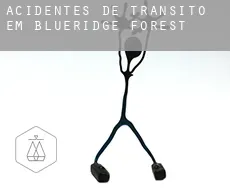 Acidentes de trânsito em  Blueridge Forest