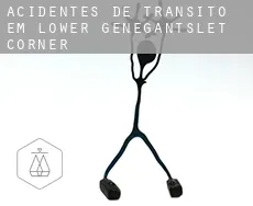 Acidentes de trânsito em  Lower Genegantslet Corner