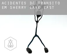Acidentes de trânsito em  Sherry Lake East